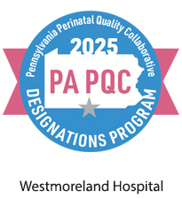 IHS_WH_PAPQC_SilverStarAward_205x225_2026 (1)