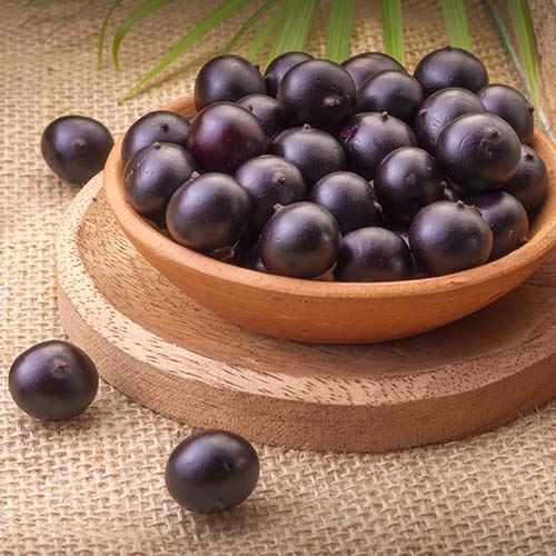 Acai Berries